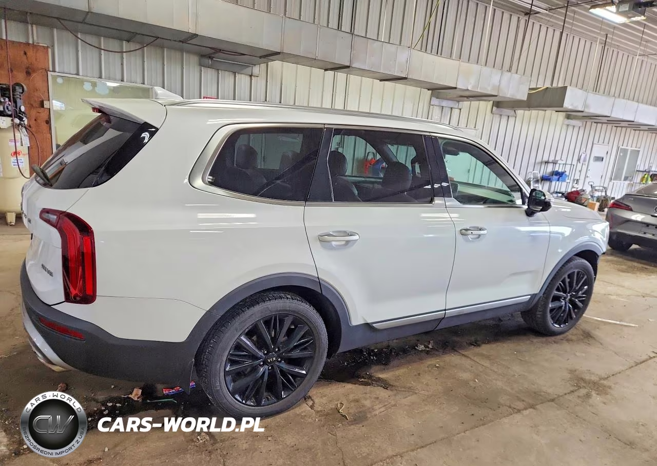 2020 Kia Telluride Sx VIN:5XYP5DHC3LG029688 - 3