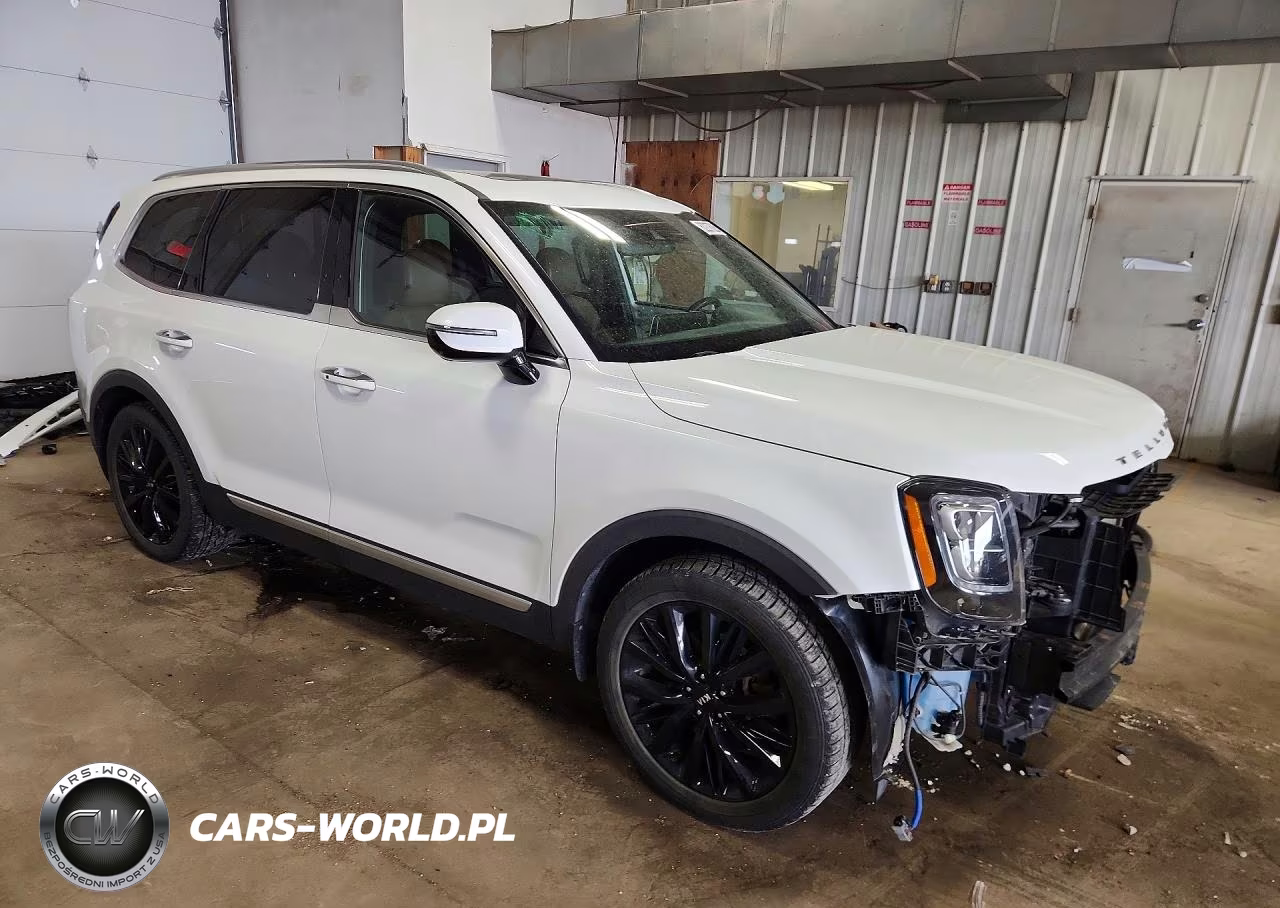2020 Kia Telluride Sx VIN:5XYP5DHC3LG029688 - 4