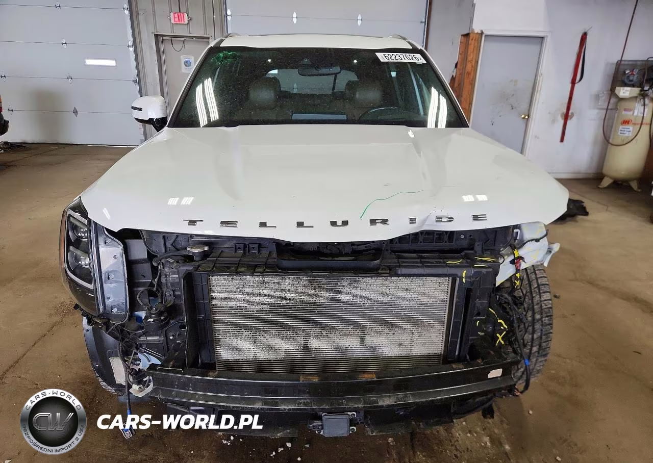 2020 Kia Telluride Sx VIN:5XYP5DHC3LG029688 - 5