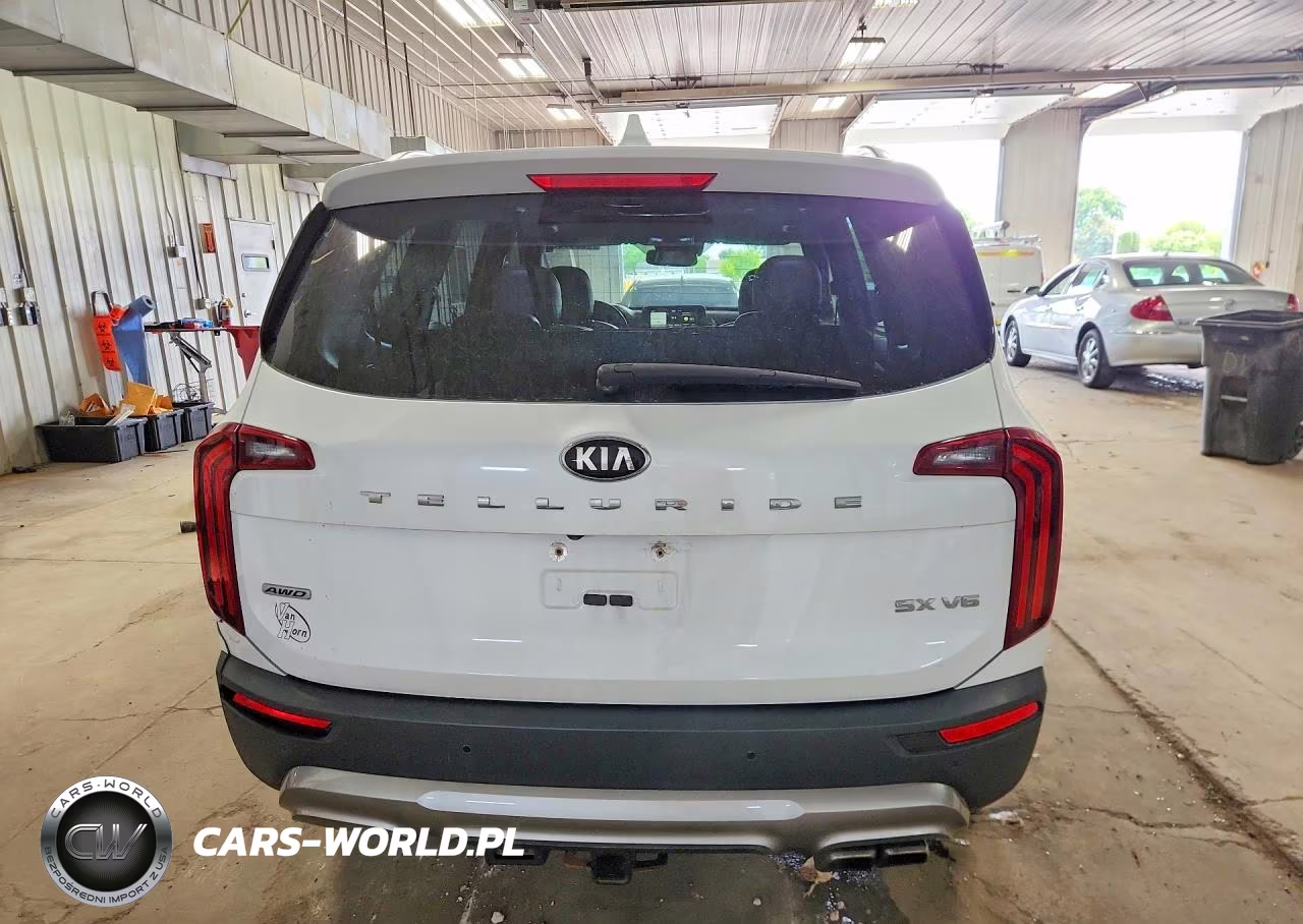 2020 Kia Telluride Sx VIN:5XYP5DHC3LG029688 - 6