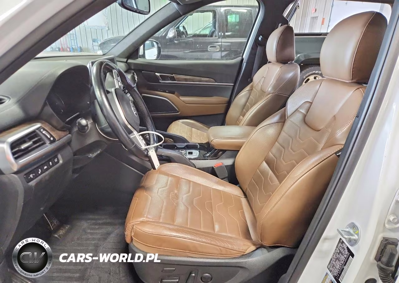 2020 Kia Telluride Sx VIN:5XYP5DHC3LG029688 - 7