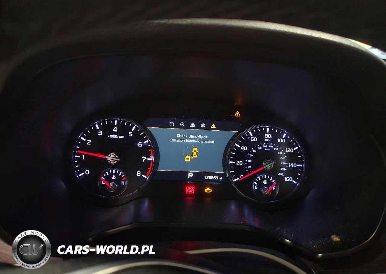 2020 Kia Telluride Sx VIN:5XYP5DHC3LG029688 - 9