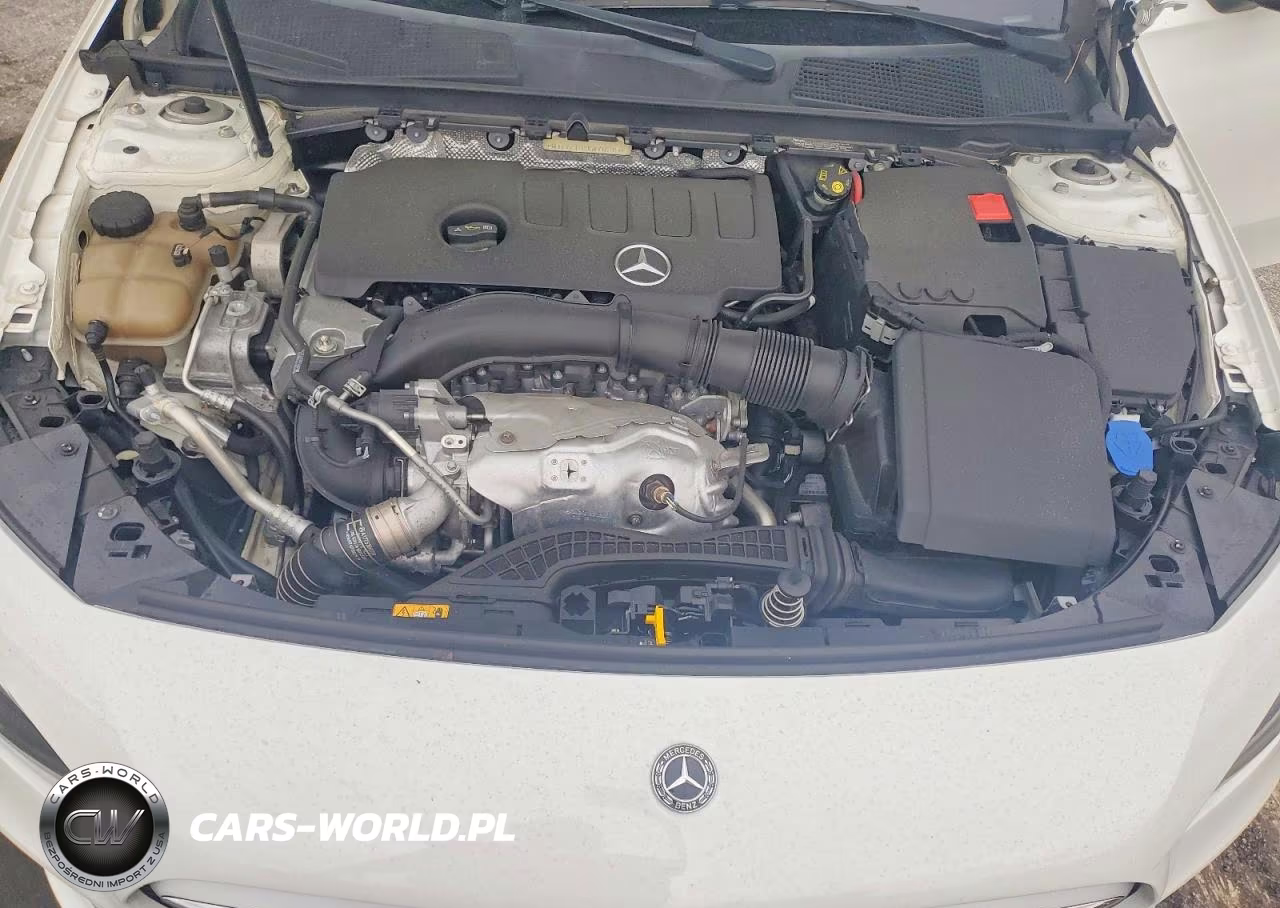 2019 Mercedes-Benz A 220 4Matic VIN:WDD3G4FB4KW001215 - 11