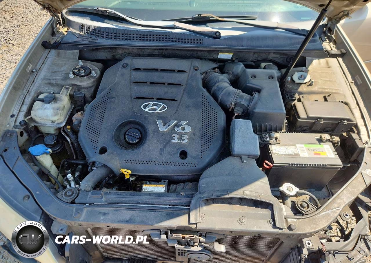 2009 Hyundai Sonata Limited V6 VIN:5NPEU46FX9H428462 - 11