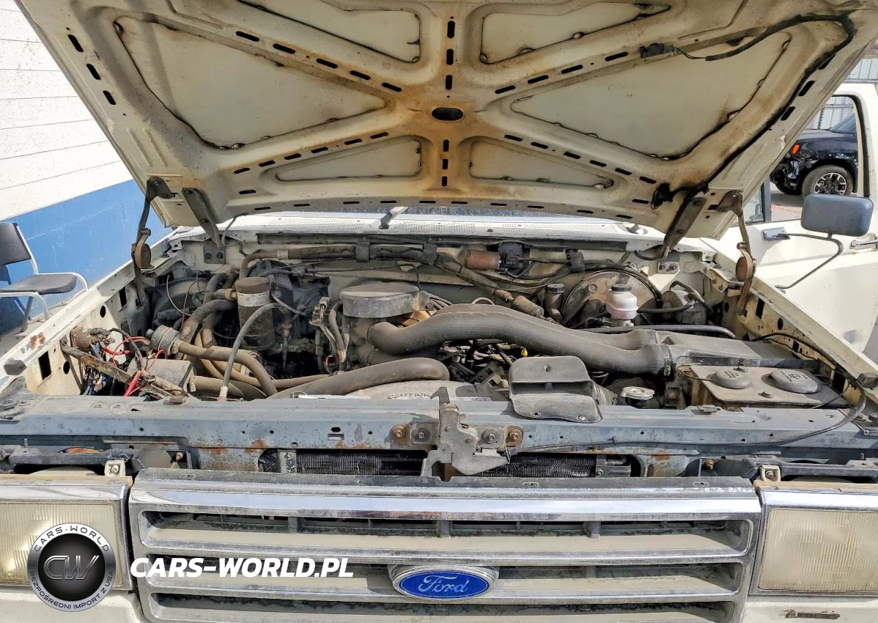 1989 Ford F150 VIN:1FTEF14N4KKA23420 - 11