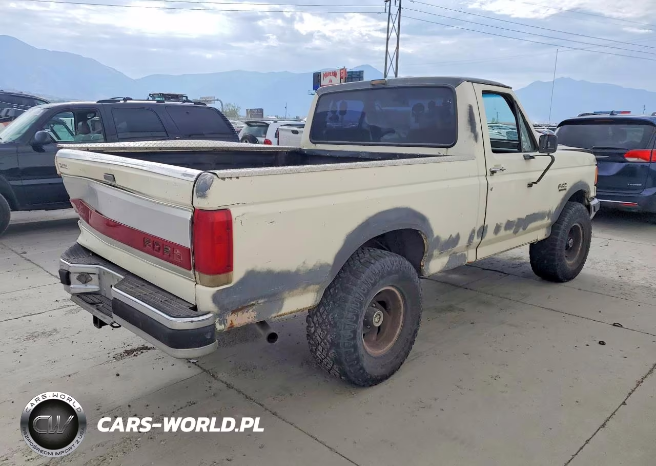 1989 Ford F150 VIN:1FTEF14N4KKA23420 - 3