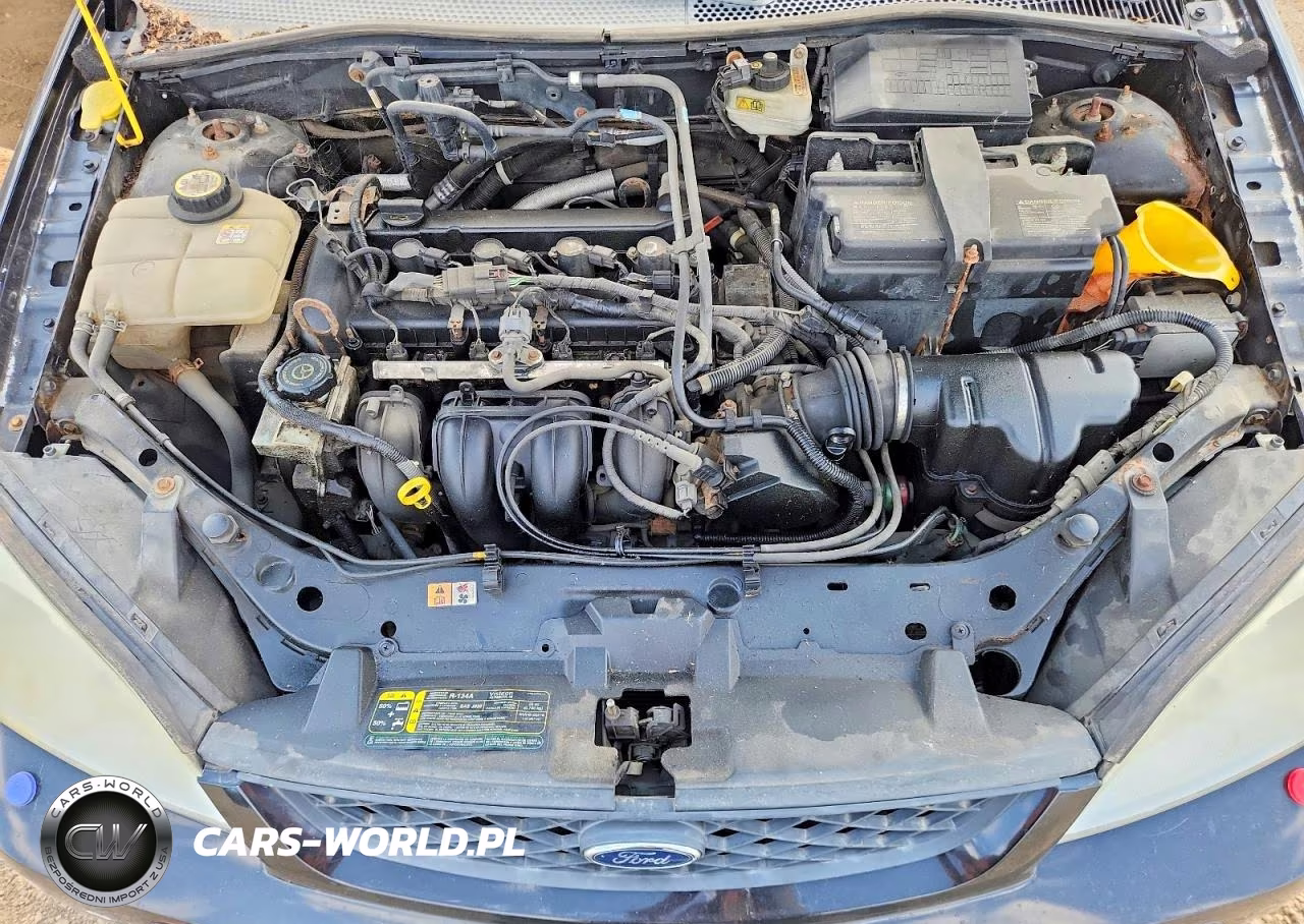 2006 Ford Focus Zx3 VIN:1FAFP31N56W218223 - 11