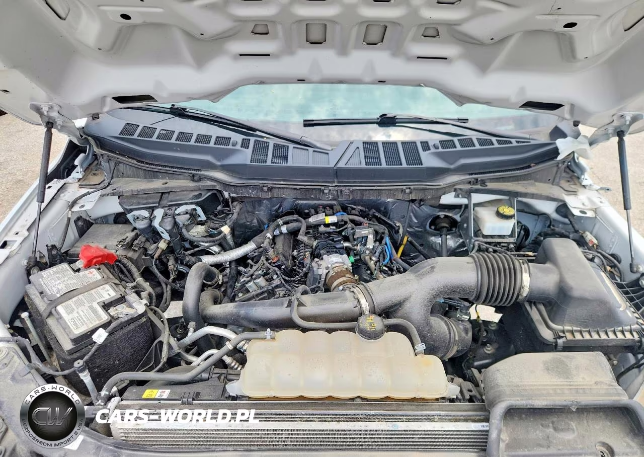 2023 Ford F150 VIN:1FTMF1CPXPKG20352 - 11