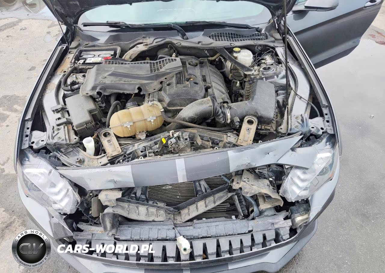 2019 Ford Mustang VIN:1FATP8UH6K5151573 - 11