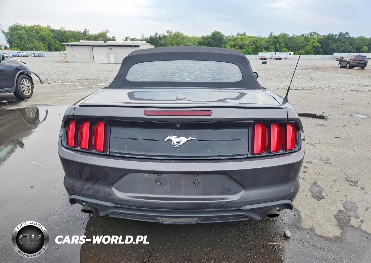 2019 Ford Mustang VIN:1FATP8UH6K5151573 - 6