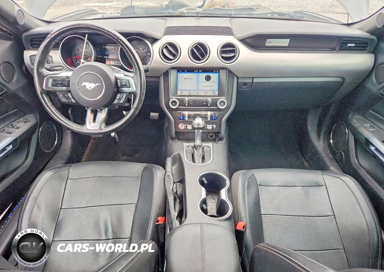2019 Ford Mustang VIN:1FATP8UH6K5151573 - 8