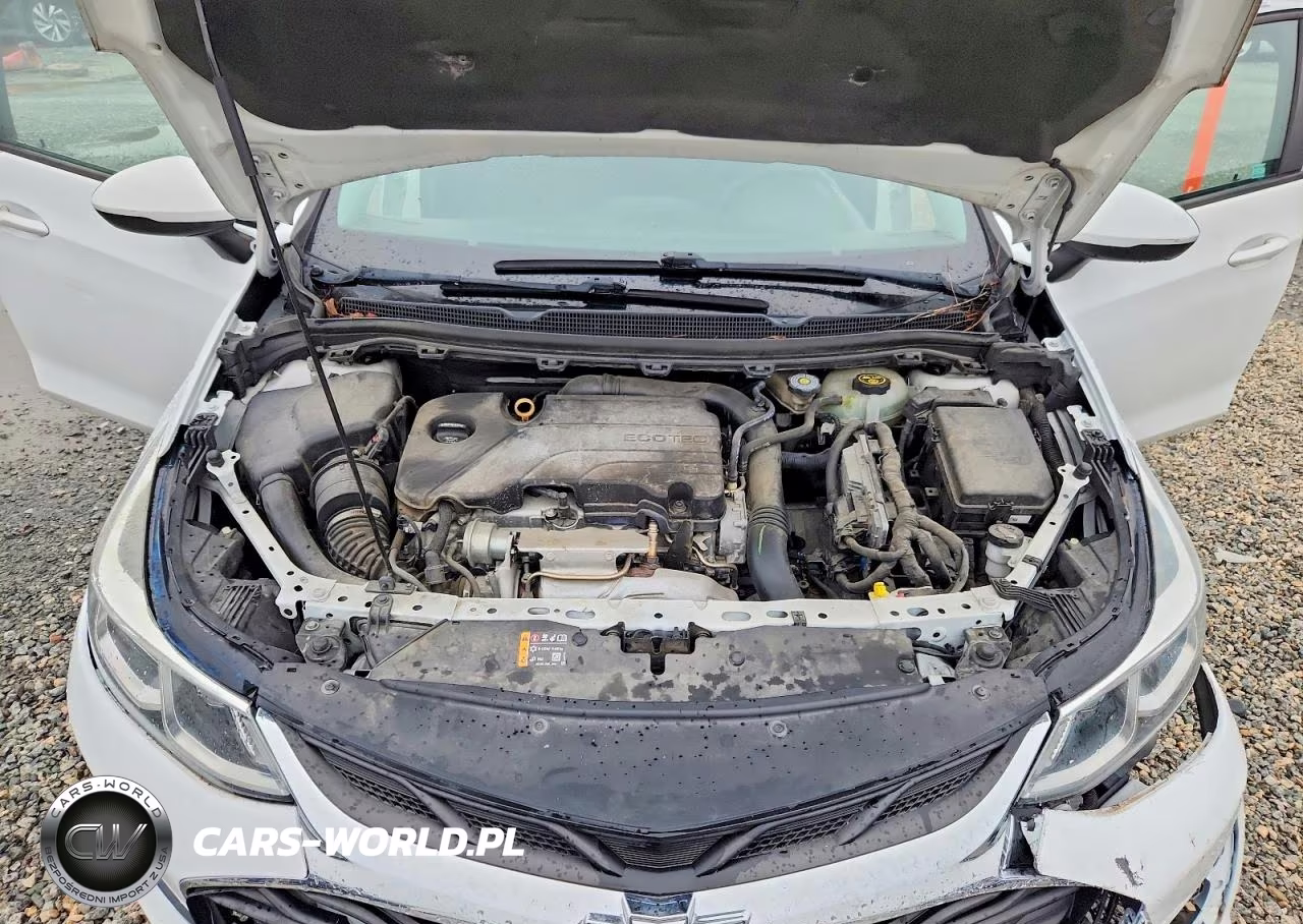2019 Chevrolet Cruze VIN:1G1BJ5SM5K7105736 - 11