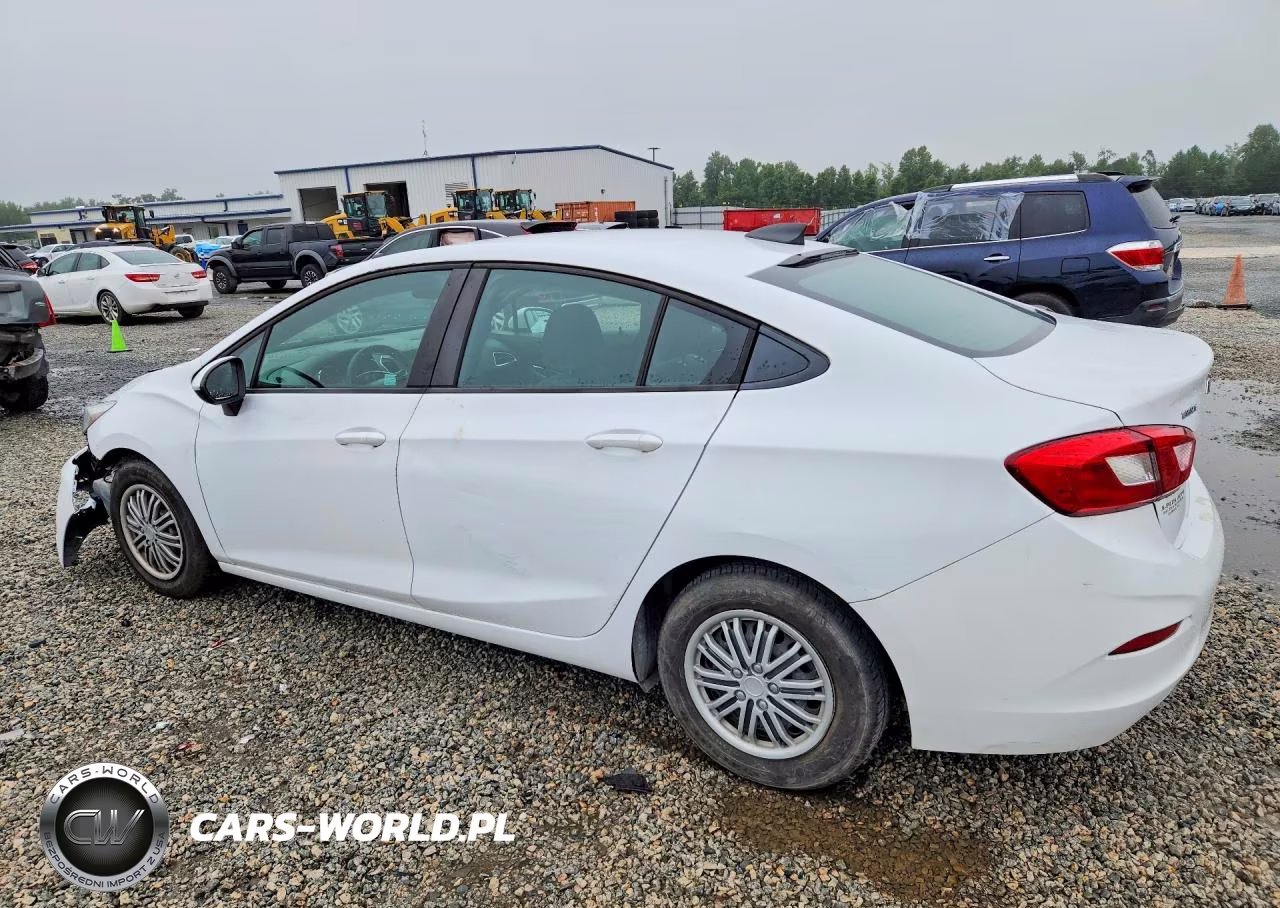 2019 Chevrolet Cruze VIN:1G1BJ5SM5K7105736 - 2