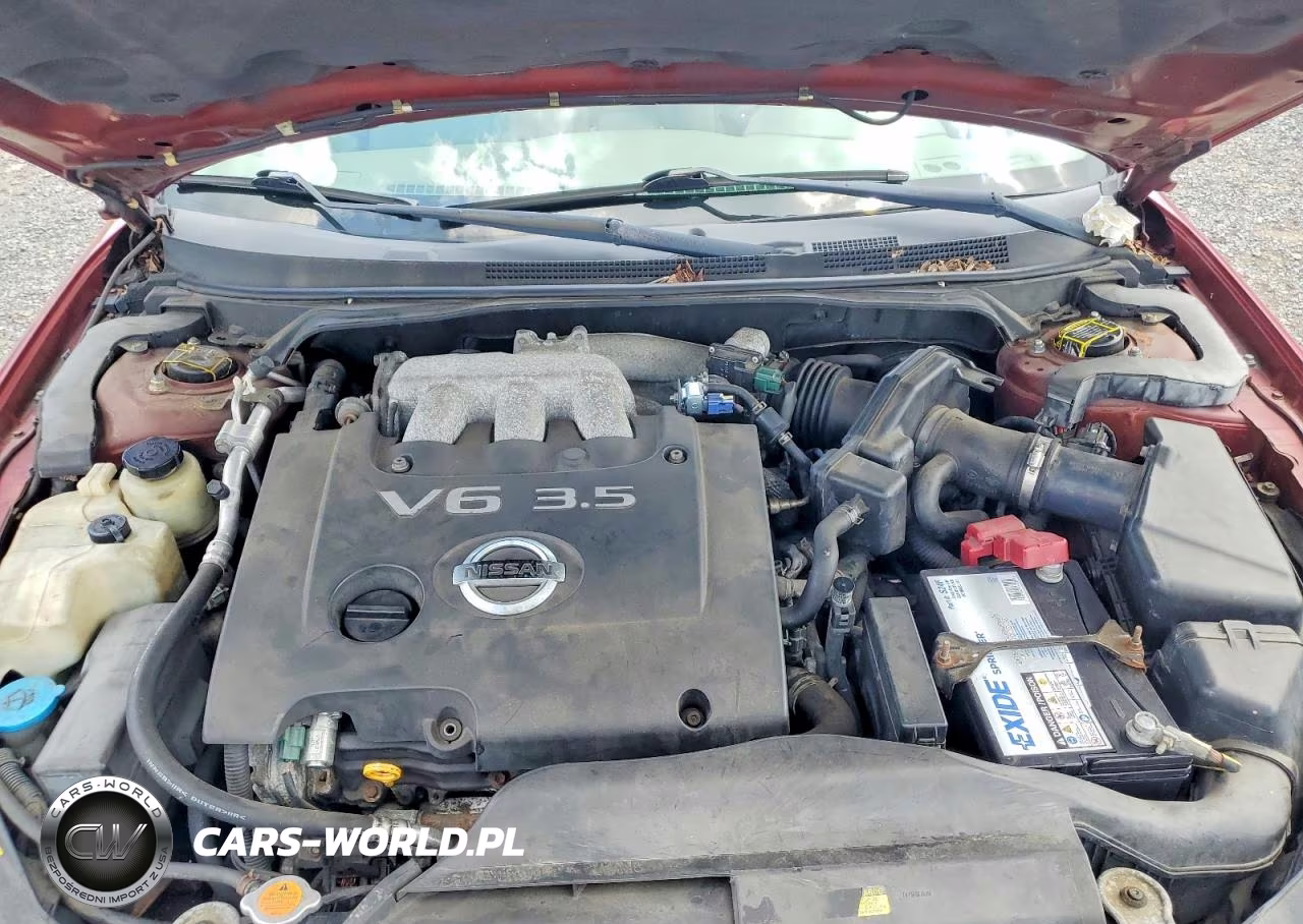 2005 Nissan Altima 3.5 Se VIN:1N4BL11D25C331763 - 11