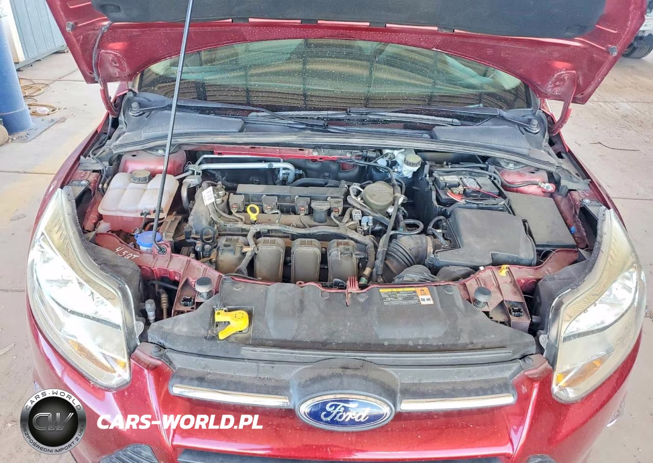 2014 Ford Focus Se VIN:1FADP3K20EL176460 - 11