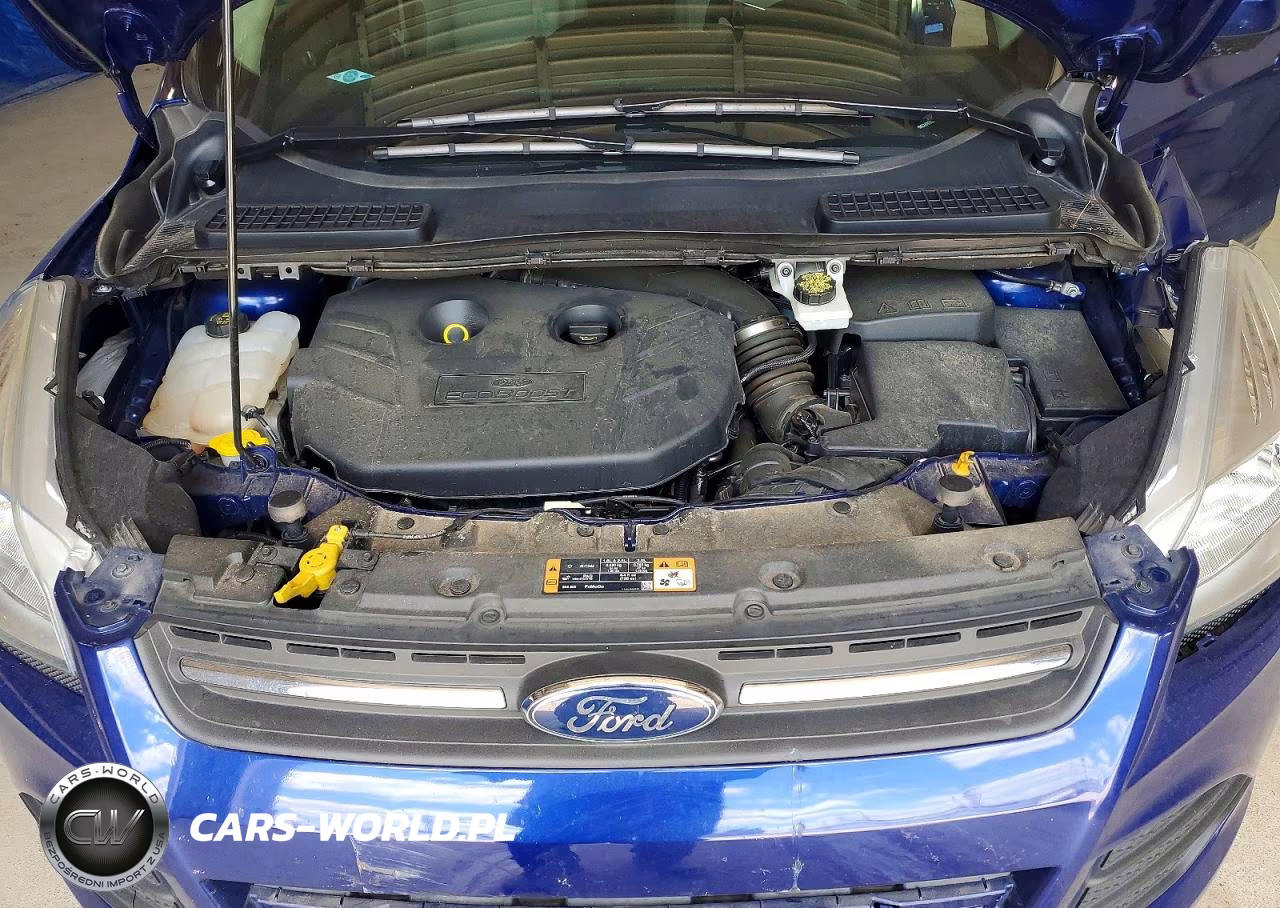 2016 Ford Escape Se VIN:1FMCU0G95GUB34507 - 11