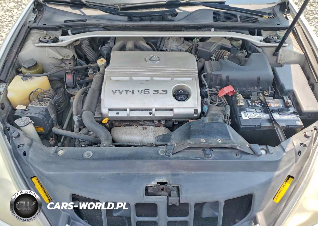 2004 Lexus Es 330 VIN:JTHBA30G745007037 - 11
