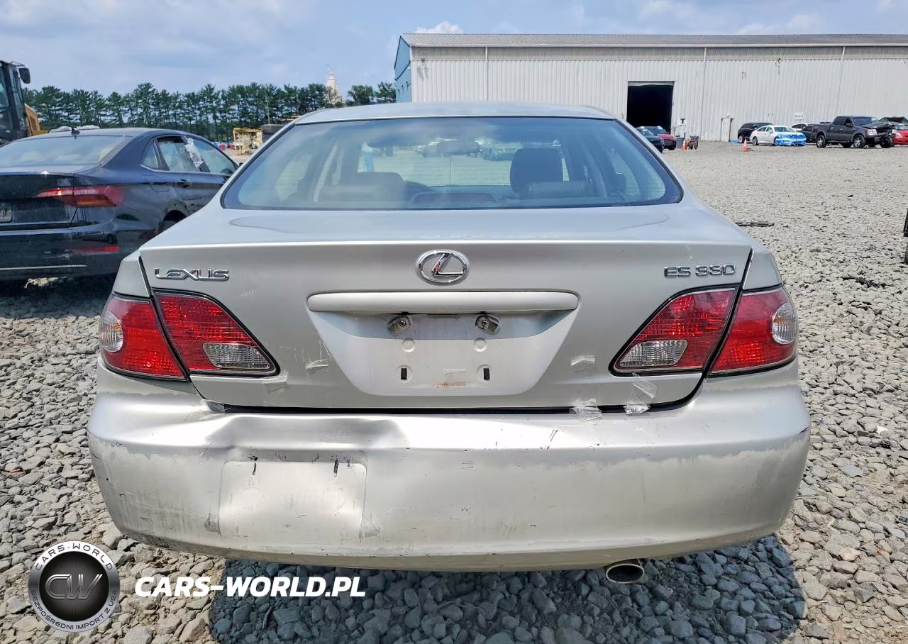 2004 Lexus Es 330 VIN:JTHBA30G745007037 - 6