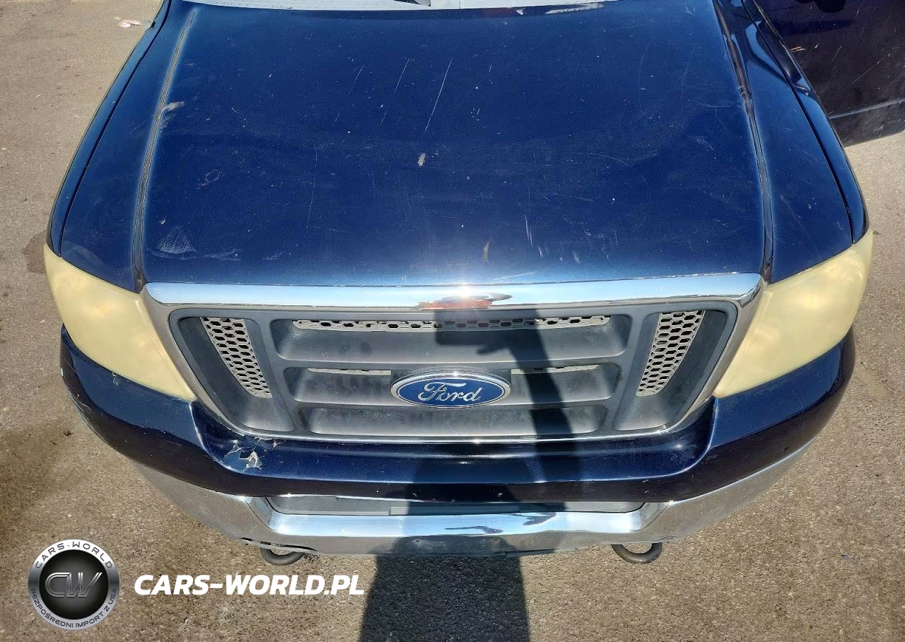 2004 Ford F150 VIN:1FTRX14W84NA29200 - 11