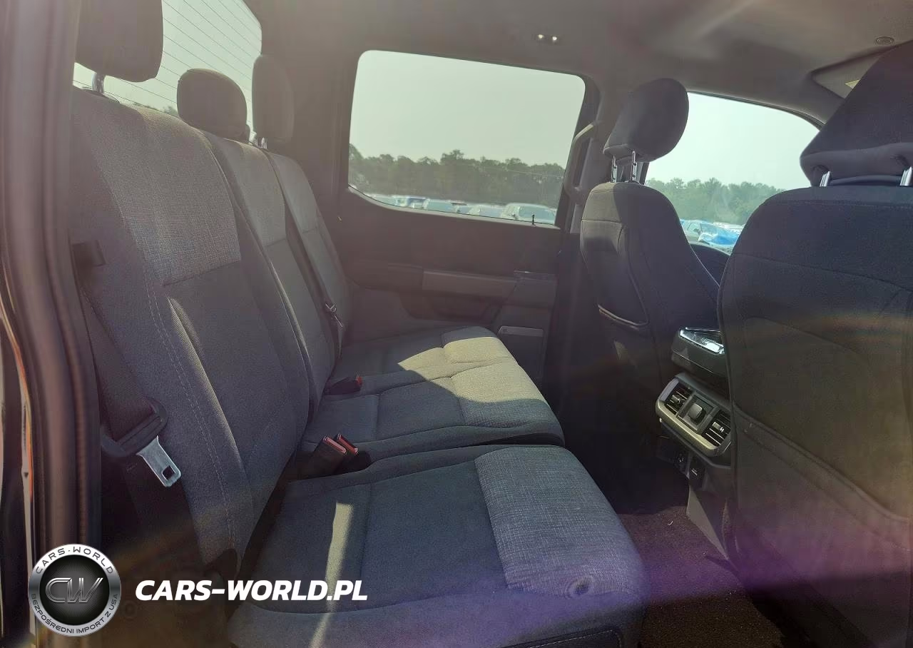 2021 Ford F150 Supercrew VIN:1FTFW1E81MKD79033 - 10
