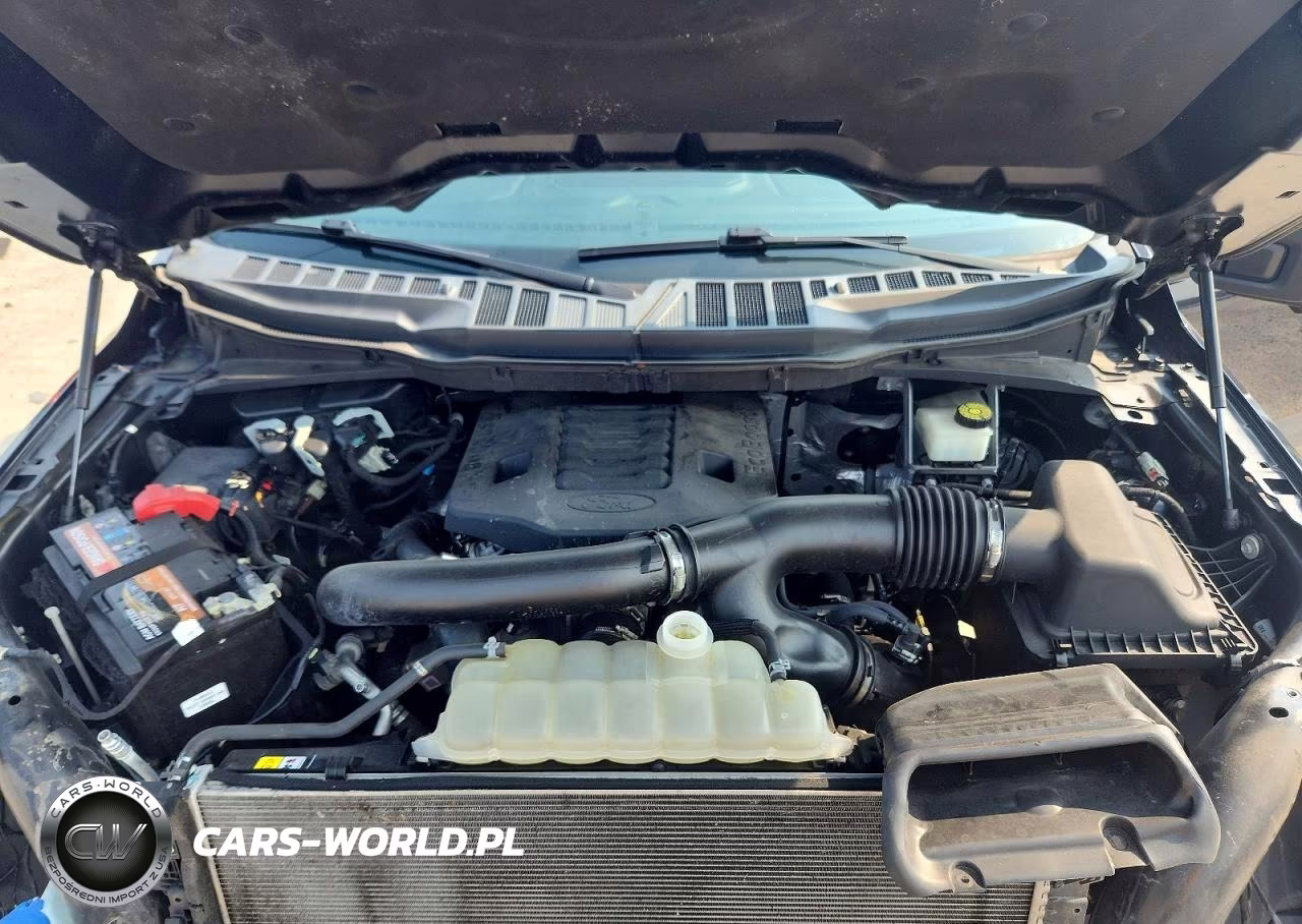 2021 Ford F150 Supercrew VIN:1FTFW1E81MKD79033 - 11