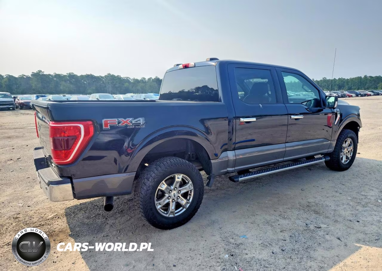 2021 Ford F150 Supercrew VIN:1FTFW1E81MKD79033 - 3