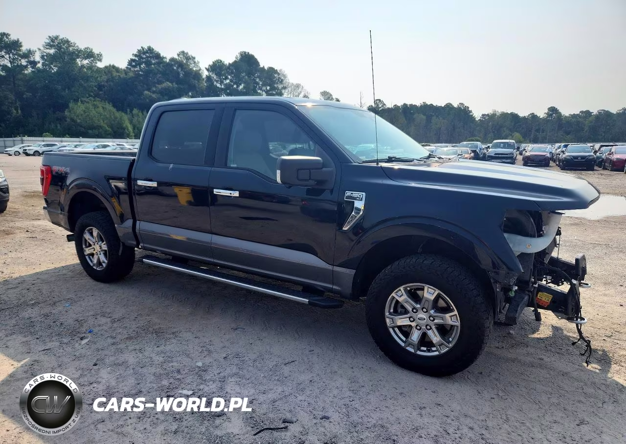 2021 Ford F150 Supercrew VIN:1FTFW1E81MKD79033 - 4