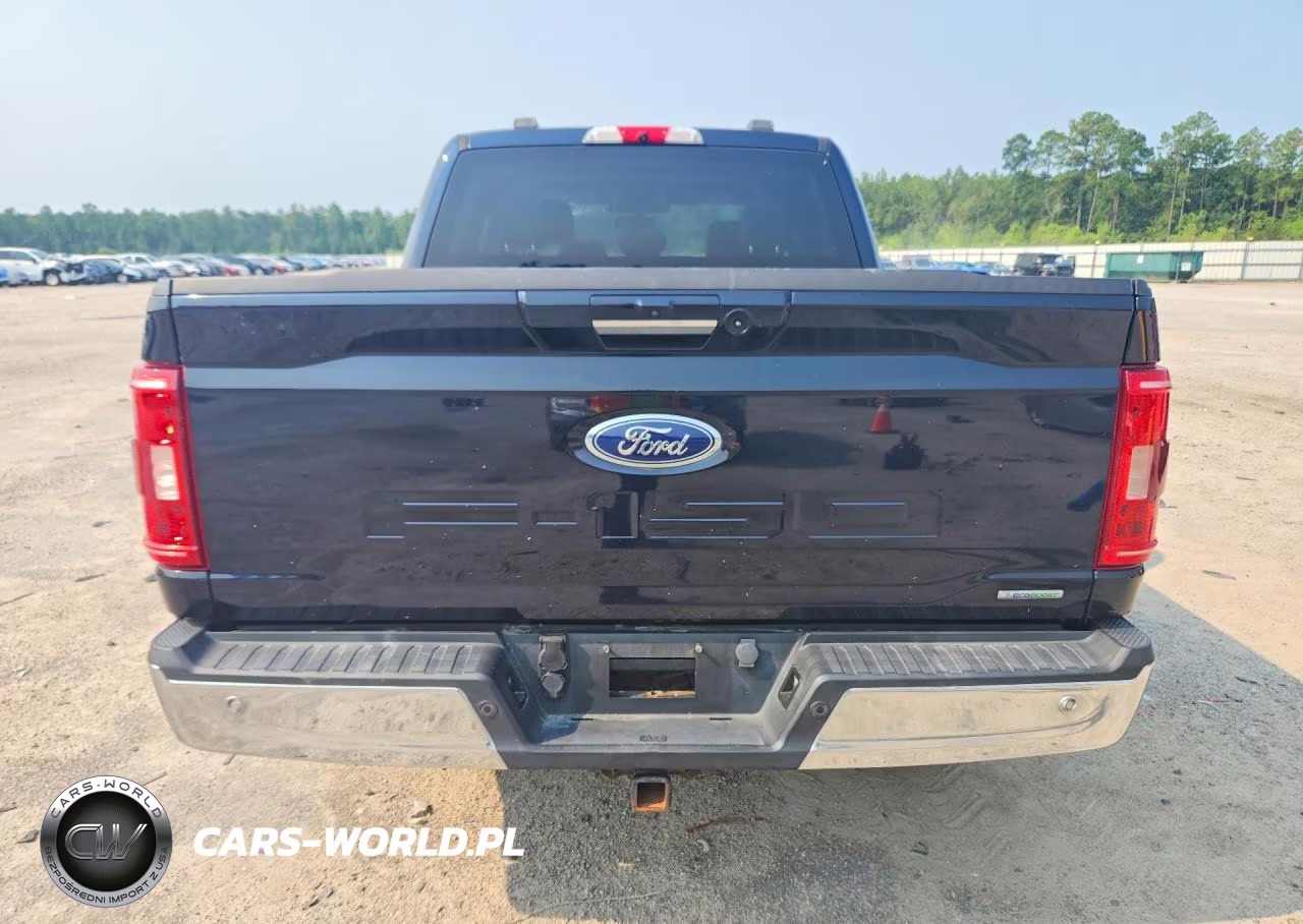 2021 Ford F150 Supercrew VIN:1FTFW1E81MKD79033 - 6