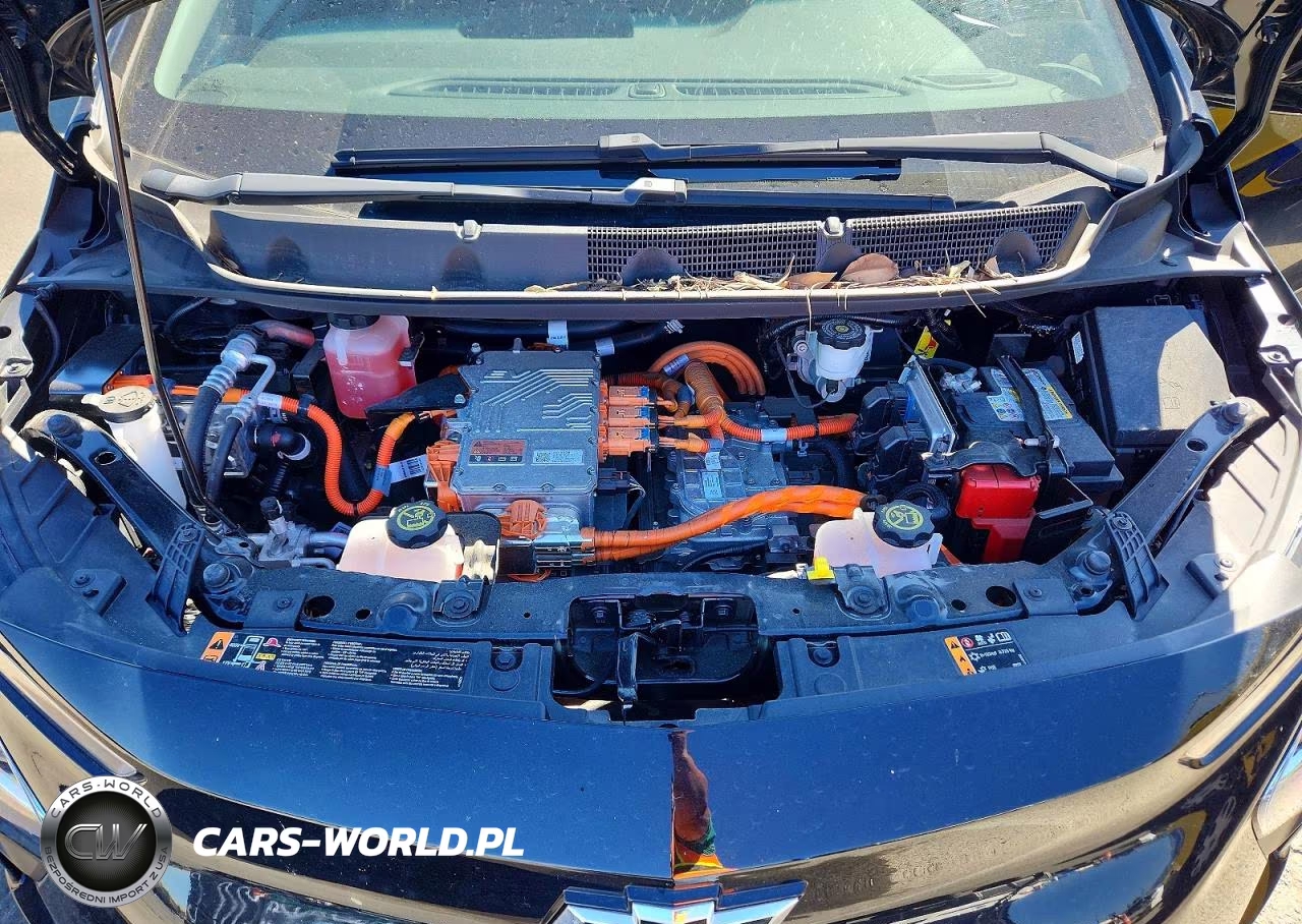 2023 Chevrolet Bolt Ev 1Lt VIN:1G1FW6S06P4122382 - 11