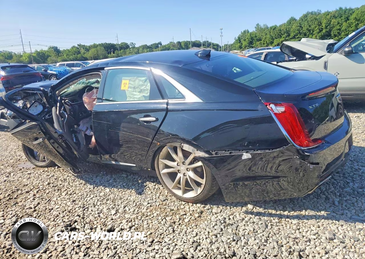 2019 Cadillac Xts Premium Luxury VIN:2G61P5S32K9127350 - 2