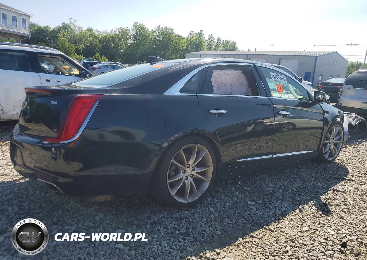2019 Cadillac Xts Premium Luxury VIN:2G61P5S32K9127350 - 3