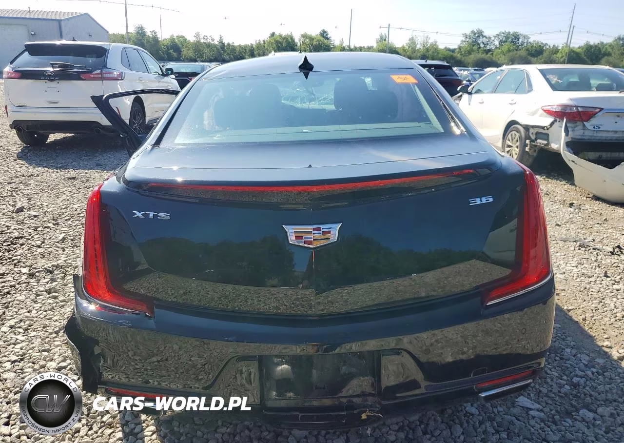 2019 Cadillac Xts Premium Luxury VIN:2G61P5S32K9127350 - 6