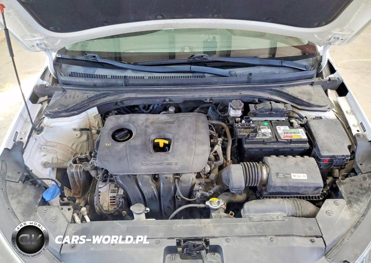2019 Hyundai Elantra Se VIN:5NPD74LF2KH425505 - 11