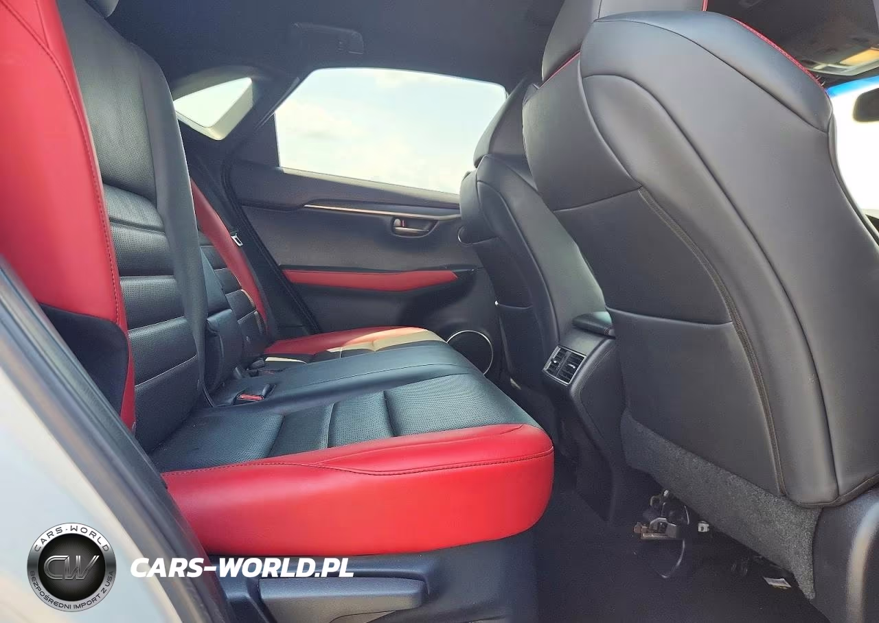 2019 Lexus Nx 300 F Sport VIN:JTJBARBZ4K2191223 - 11