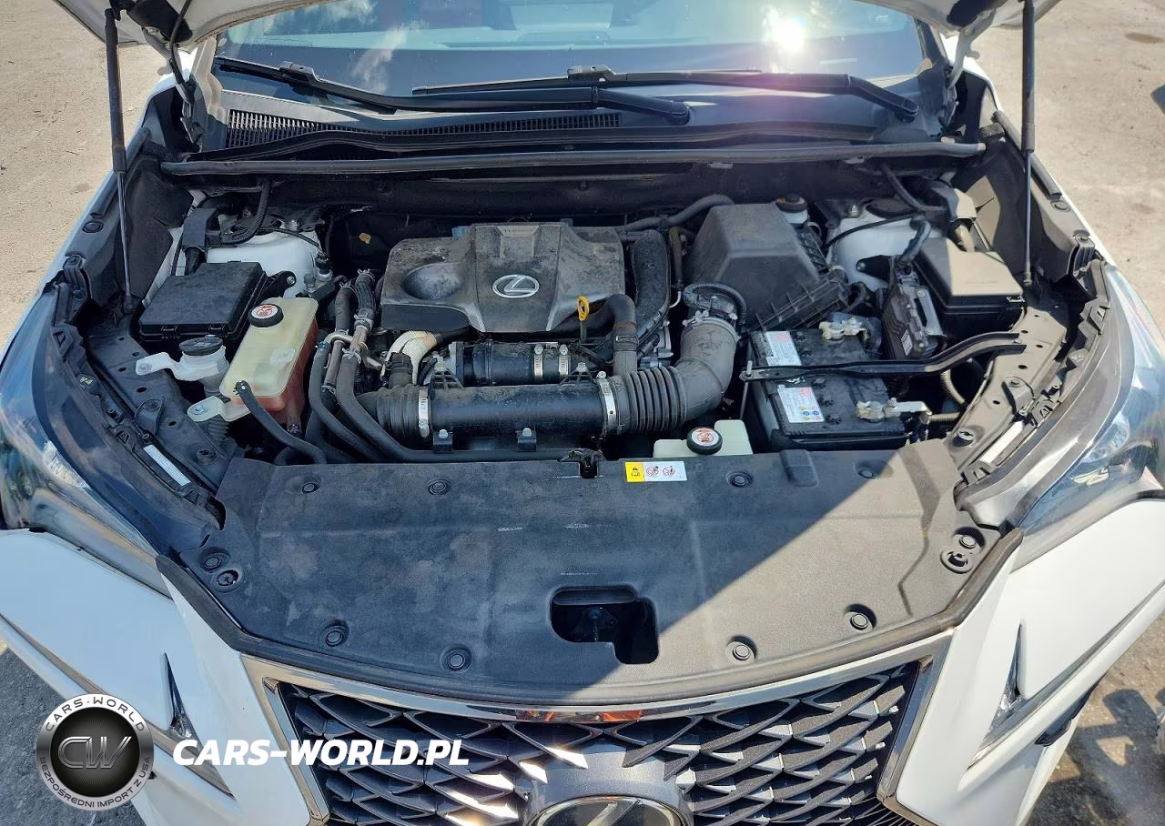 2019 Lexus Nx 300 F Sport VIN:JTJBARBZ4K2191223 - 12