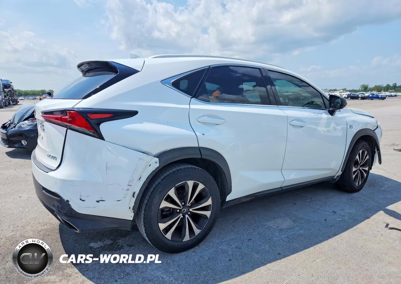 2019 Lexus Nx 300 F Sport VIN:JTJBARBZ4K2191223 - 3