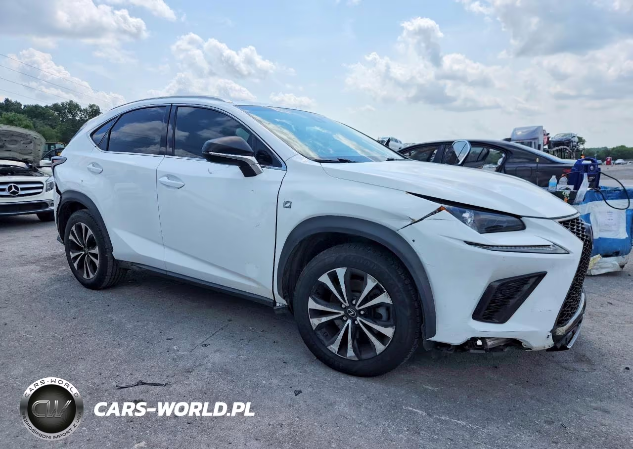 2019 Lexus Nx 300 F Sport VIN:JTJBARBZ4K2191223 - 4