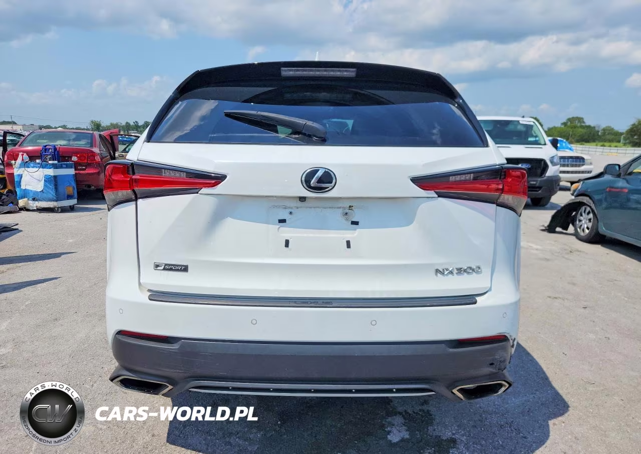 2019 Lexus Nx 300 F Sport VIN:JTJBARBZ4K2191223 - 6