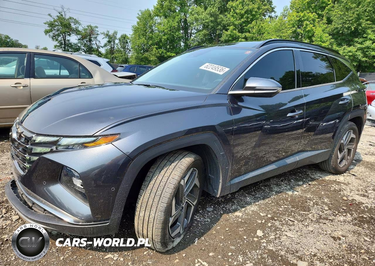 2022 Hyundai Tucson Limited VIN:5NMJE3AE5NH012489 - 1