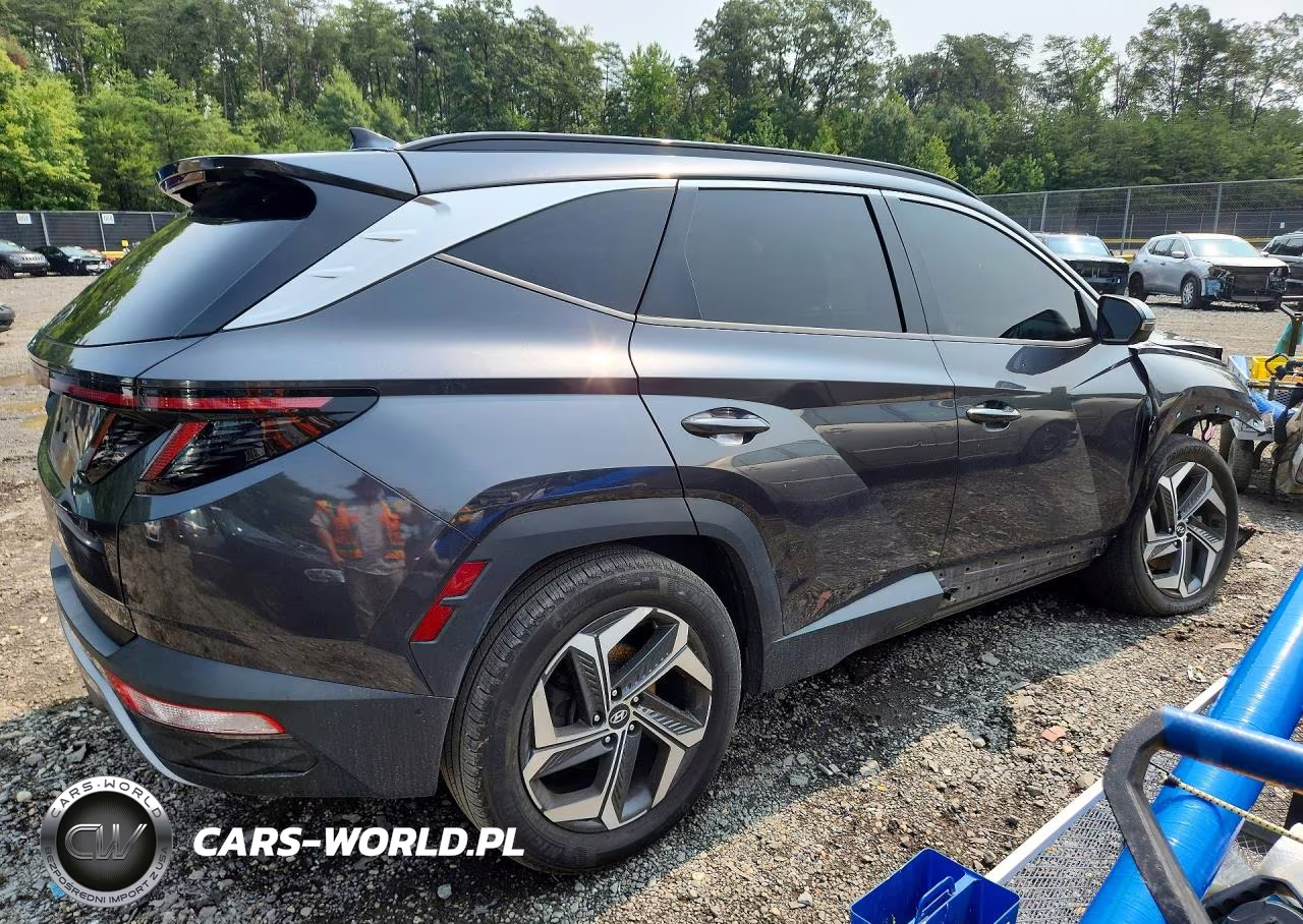 2022 Hyundai Tucson Limited VIN:5NMJE3AE5NH012489 - 3