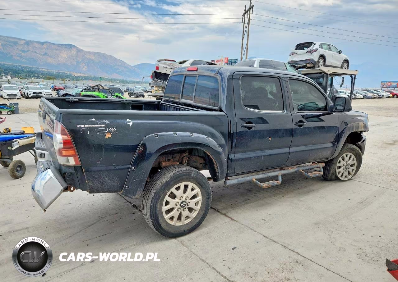 2010 Toyota Tacoma V6 VIN:5TELU4ENXAZ684974 - 3