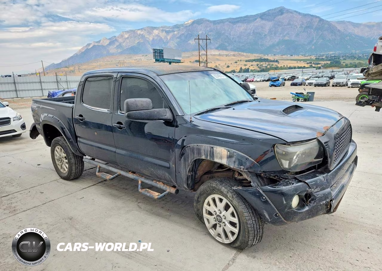2010 Toyota Tacoma V6 VIN:5TELU4ENXAZ684974 - 4