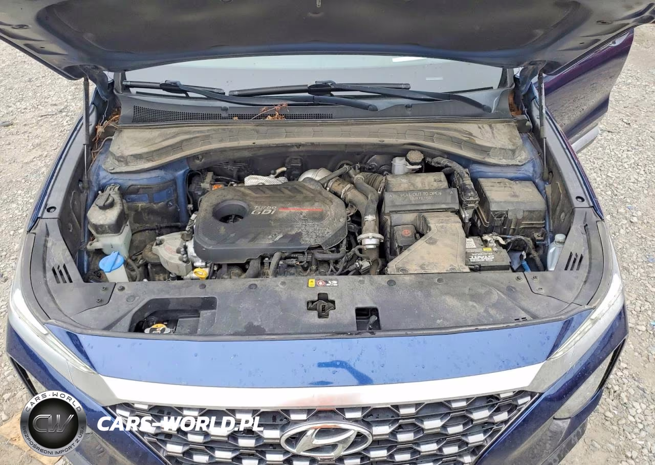 2019 Hyundai Santa Fe Ultimate 2.0T VIN:5NMS53AA7KH106399 - 12