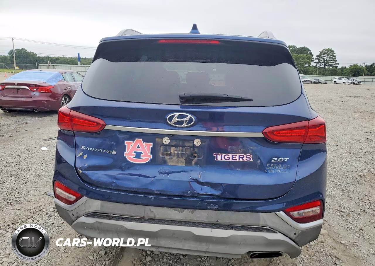 2019 Hyundai Santa Fe Ultimate 2.0T VIN:5NMS53AA7KH106399 - 6
