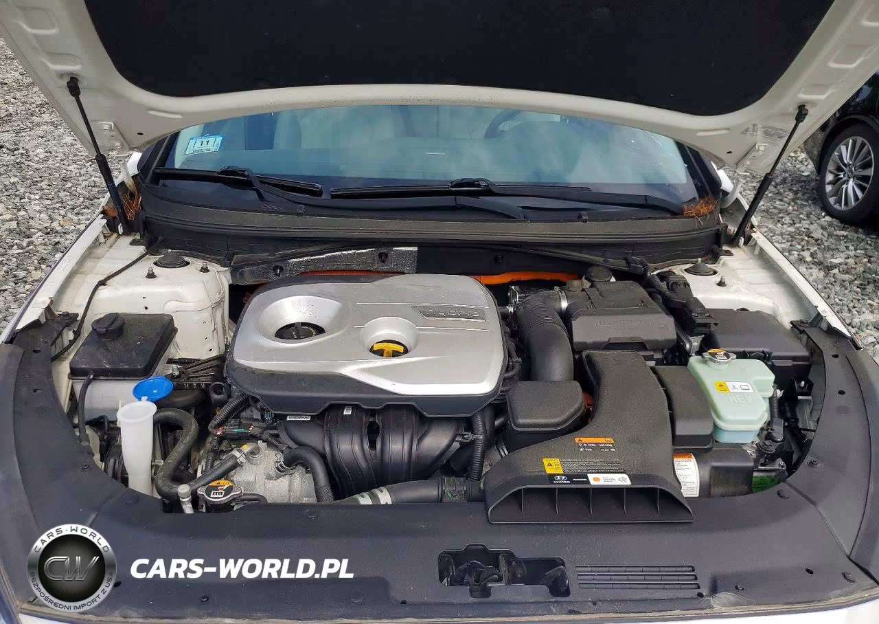 2019 Hyundai Sonata Plug-In Hybrid VIN:KMHE14L2XKA093996 - 11