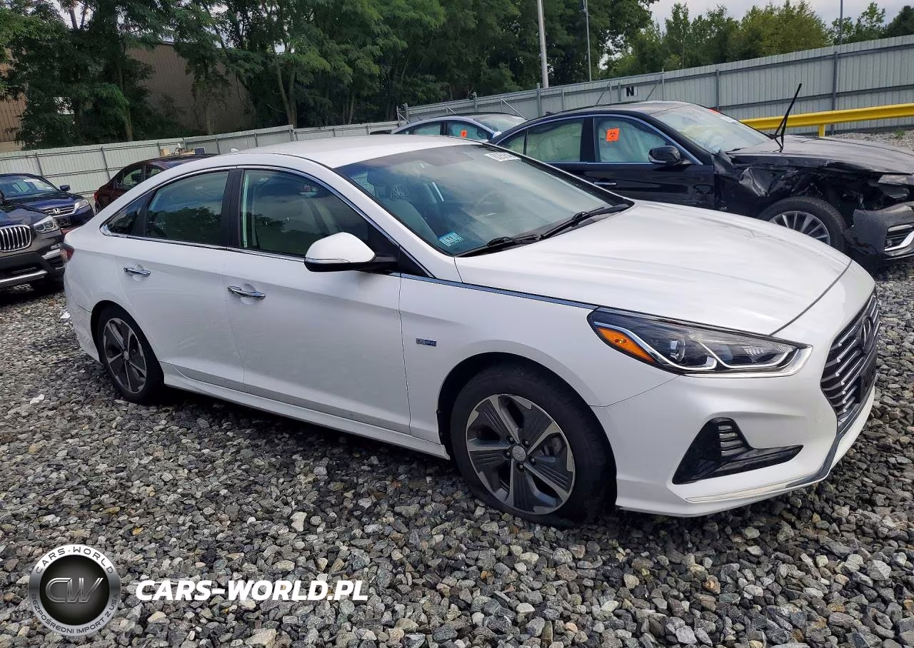 2019 Hyundai Sonata Plug-In Hybrid VIN:KMHE14L2XKA093996 - 4