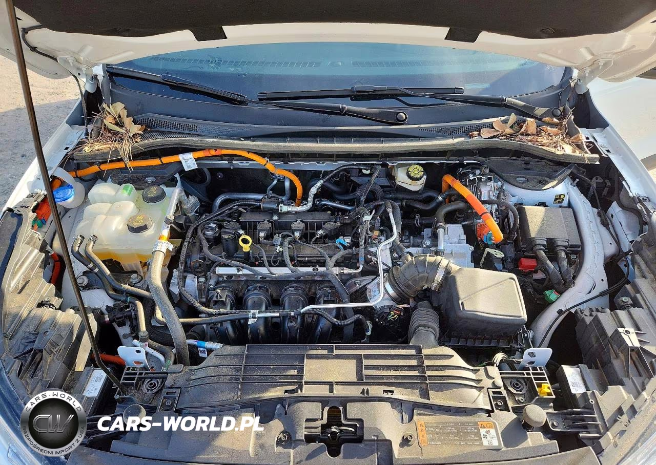 2025 Ford Escape St Line VIN:1FMCU0MZ4SUB28890 - 11