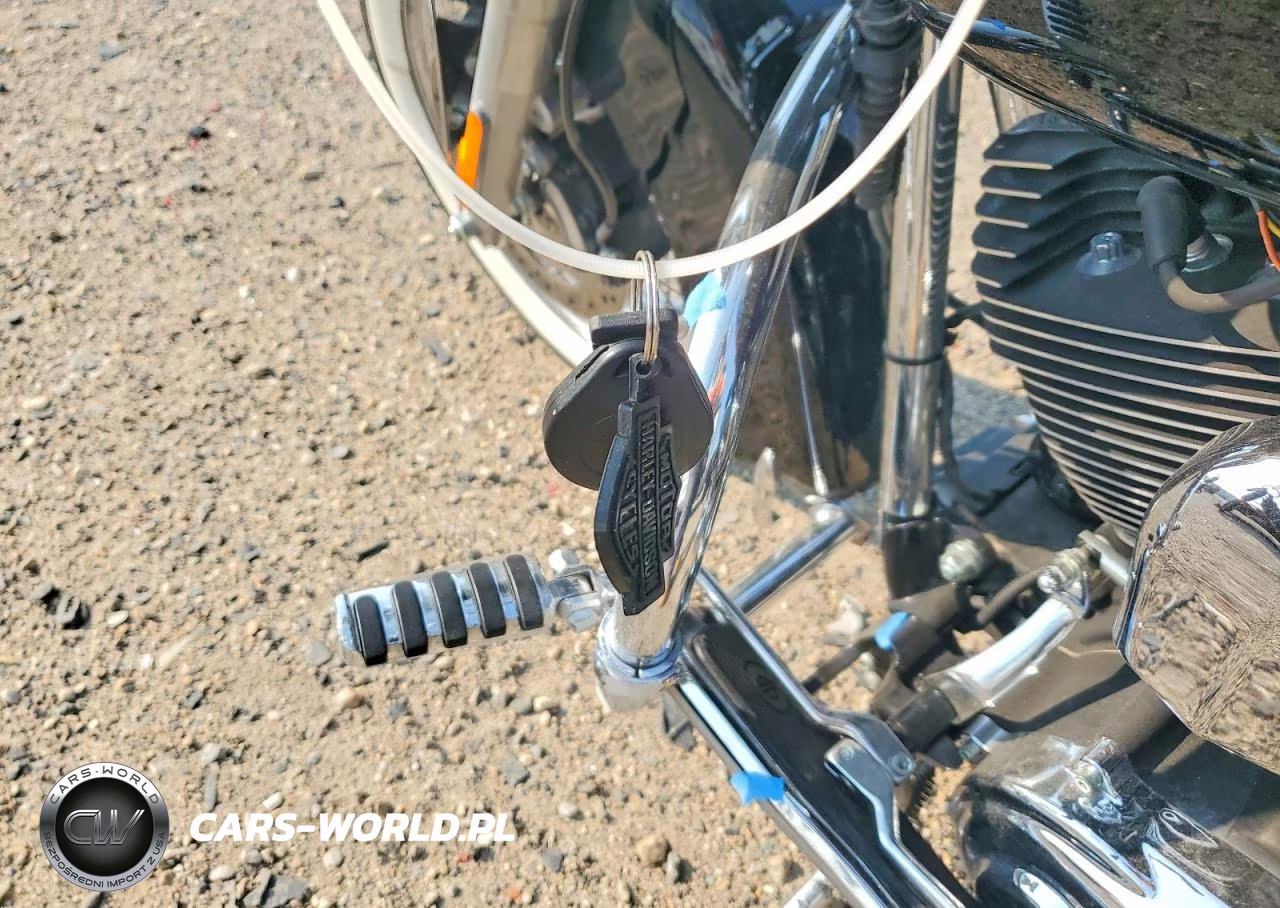 2008 Harley-Davidson Flstn VIN:1HD1JD5118Y019954 - 8