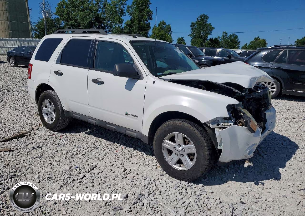 2010 Ford Escape Hybrid VIN:1FMCU5K3XAKD20921 - 4