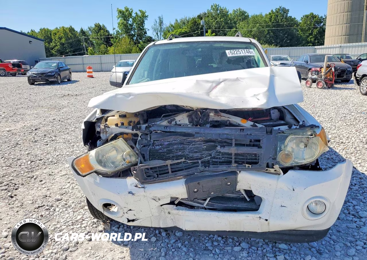 2010 Ford Escape Hybrid VIN:1FMCU5K3XAKD20921 - 5